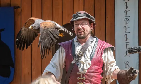 The Falconry Stage
