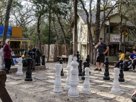 The Royal Chess Board